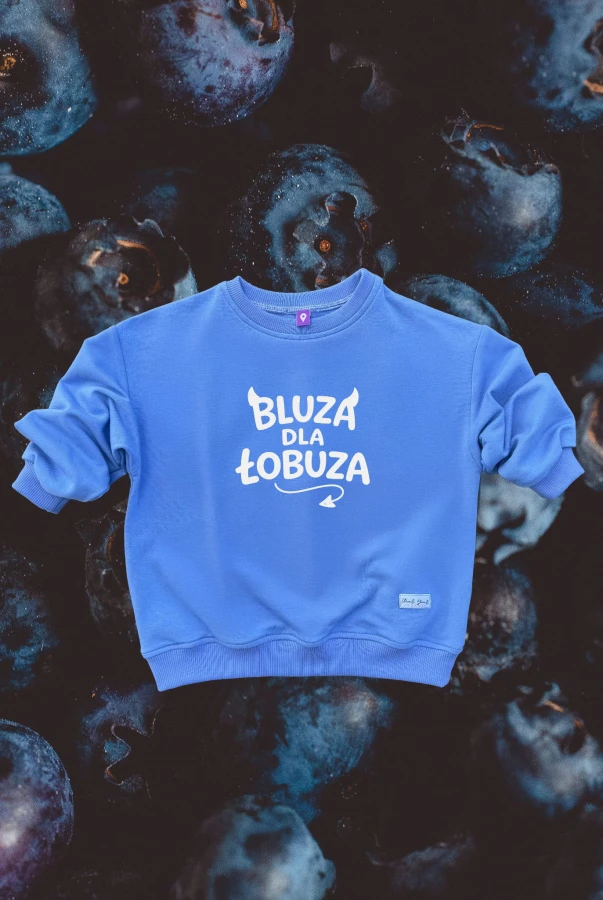 Bluza dziecięca dla małego łobuza z napisem BLUZA DLA ŁOBUZA w różnych kolorach oversize dla dziecka
